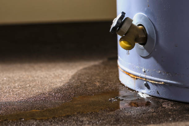 Best Mold removal after water damage  in Tuskegee, AL