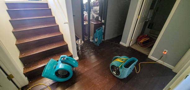 Best Fire Damage Restoration  in Tuskegee, AL