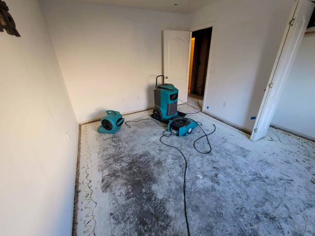 Best Basement water damage restoration  in Tuskegee, AL