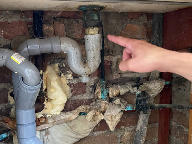Best Water damage restoration near me  in Tuskegee, AL